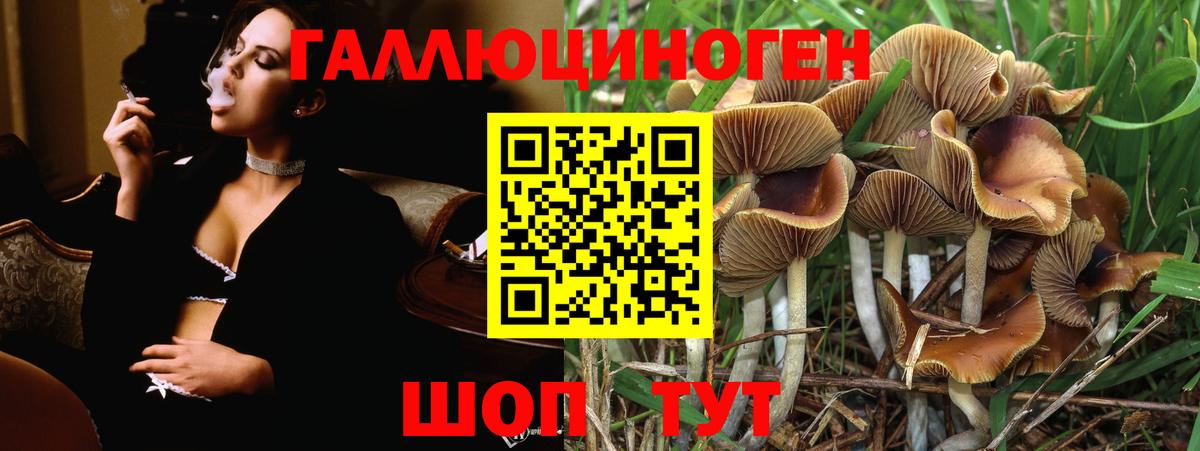 Псилоцибиновые грибы ЛСД Киселёвск